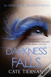 Capa do artigo Darkness Falls (Immortal Beloved Book Two)
