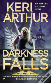 Capa do artigo Darkness Falls