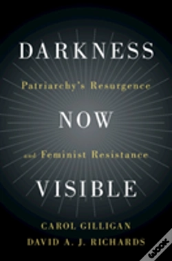 Capa do artigo Darkness Now Visible