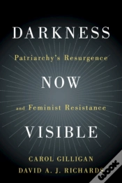 Capa do artigo Darkness Now Visible