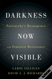 Capa do artigo Darkness Now Visible