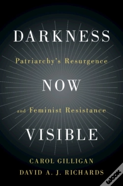 Capa do artigo Darkness Now Visible