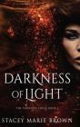 Darkness Of Light - Preview