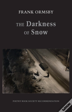 Capa do artigo Darkness Of Snow