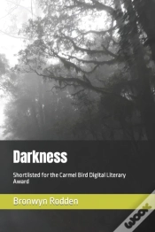 Capa do artigo Darkness