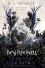 Darkness Unknown - Preview