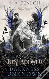 Capa do artigo Darkness Unknown