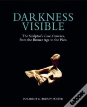 Capa do artigo Darkness Visible
