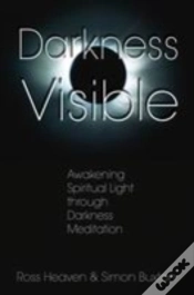 Capa do artigo Darkness Visible
