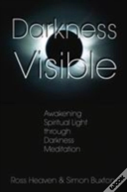 Capa do artigo Darkness Visible