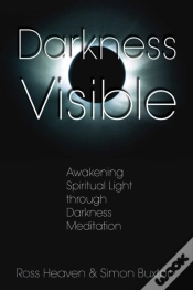 Capa do artigo Darkness Visible