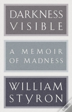 Capa do artigo Darkness Visible