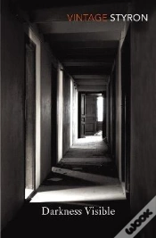 Capa do artigo Darkness Visible