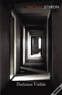 Capa do artigo Darkness Visible