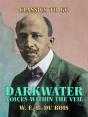 Darkwater Voices Within The Veil - Preview