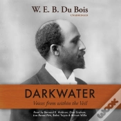 Capa do artigo Darkwater