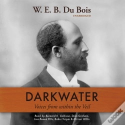 Capa do artigo Darkwater