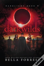 Capa do artigo Darkwilds