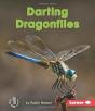 Darting Dragonflies - Preview