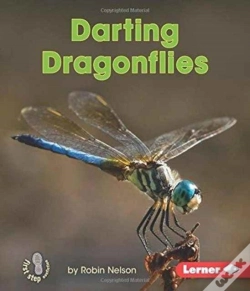 Capa do artigo Darting Dragonflies