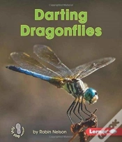 Capa do artigo Darting Dragonflies
