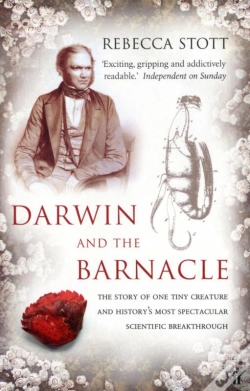 Capa do artigo Darwin And The Barnacle