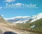 Dashcam Trucker - Preview