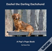 Dashel The Darling Dachshund