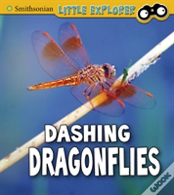 Capa do artigo Dashing Dragonflies