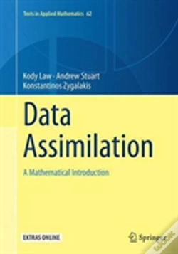 Capa do artigo Data Assimilation