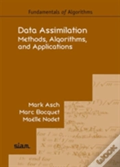 Capa do artigo Data Assimilation