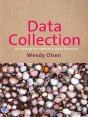 Data Collection - Preview