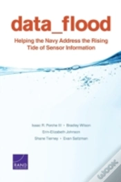 Capa do artigo Data Flood