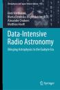 Data-Intensive Radio Astronomy - Preview