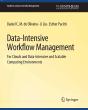 Data-Intensive Workflow Management - Preview