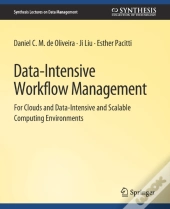 Data-Intensive Workflow Management