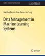 Data Management In Machine Learning Systems - Preview