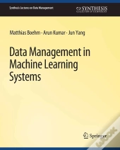 Data Management In Machine Learning Systems