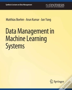 Capa do artigo Data Management In Machine Learning Systems