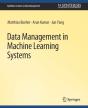Data Management In Machine Learning Systems - Preview