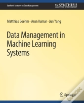 Data Management In Machine Learning Systems