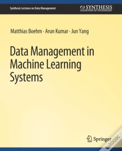 Capa do artigo Data Management In Machine Learning Systems