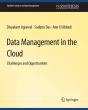 Data Management In The Cloud - Preview
