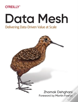 Capa do artigo Data Mesh