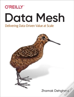 Capa do artigo Data Mesh