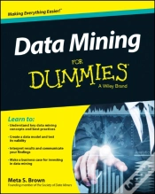 Capa do artigo Data Mining For Dummies