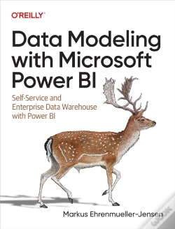 Capa do artigo Data Modeling With Microsoft Power Bi