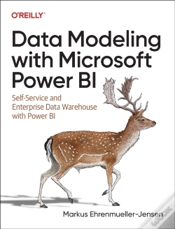 Capa do artigo Data Modeling With Microsoft Power Bi