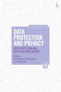 Data Protection And Privacy, Volume 13 - Preview