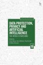 Data Protection, Privacy And Artificial Intelligence, Volume 18 - Preview